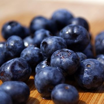 blueberries: Credit Wikimedia Commons Zimbabwe is an emerging berry exporter