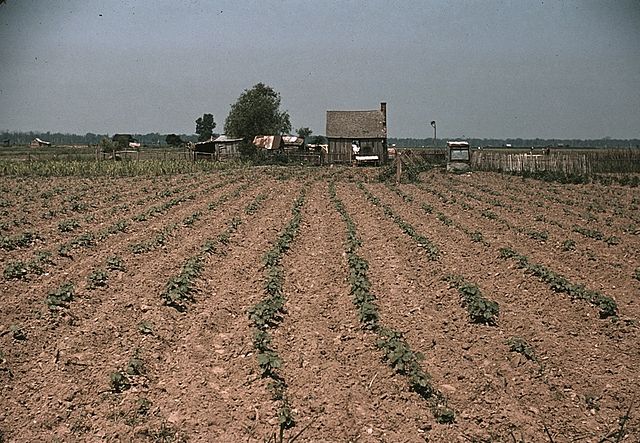 row croppers get farm aid support