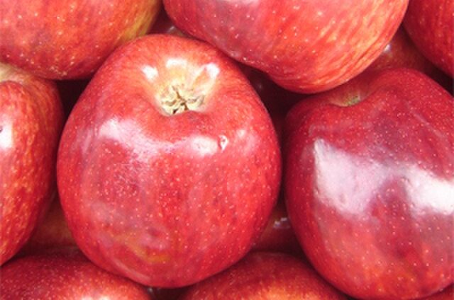 Apples from Mercosur member, Argentina: Credit Wikimedia Commons Mercosur deal passes while France gifts farmers pesticide ban