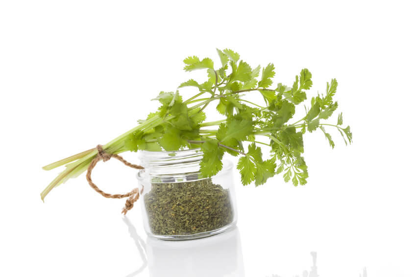 Selina wamucii kenya fresh coriander