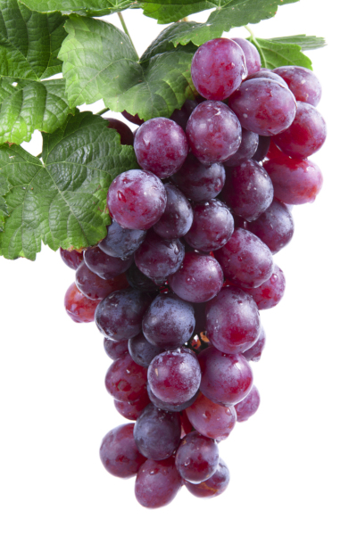 Tanzania Grapes