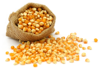 Tanzania Maize