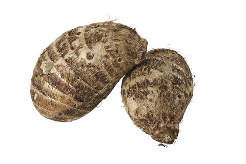 Tanzania Tannia