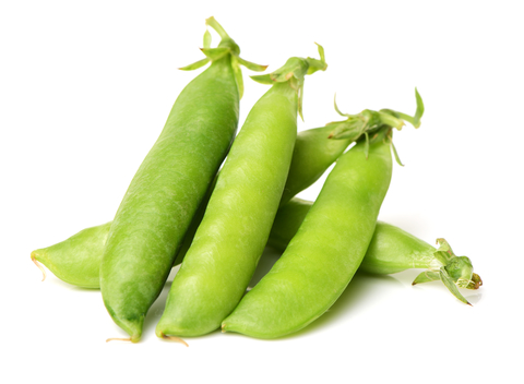 Tanzania Pea Bean