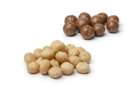 Uganda Macadamia