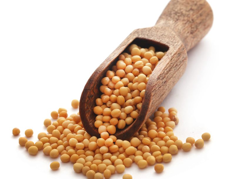 Tanzania Mustard