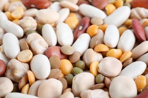 Mozambique Pulses