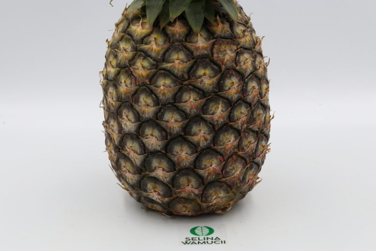 Togolese pineapple